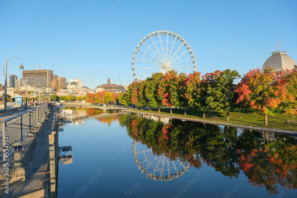 Obraz premium Wild geese and sea gulls inside Garten Eden paradise public park with canal river on Autumn day with picturesque landscape scenery and fall colors leaves in Indian summer Montreal, Canada