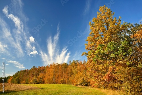 Autumn time. Beautiful landscape with colorful trees. Outdoor natural background for fall time.