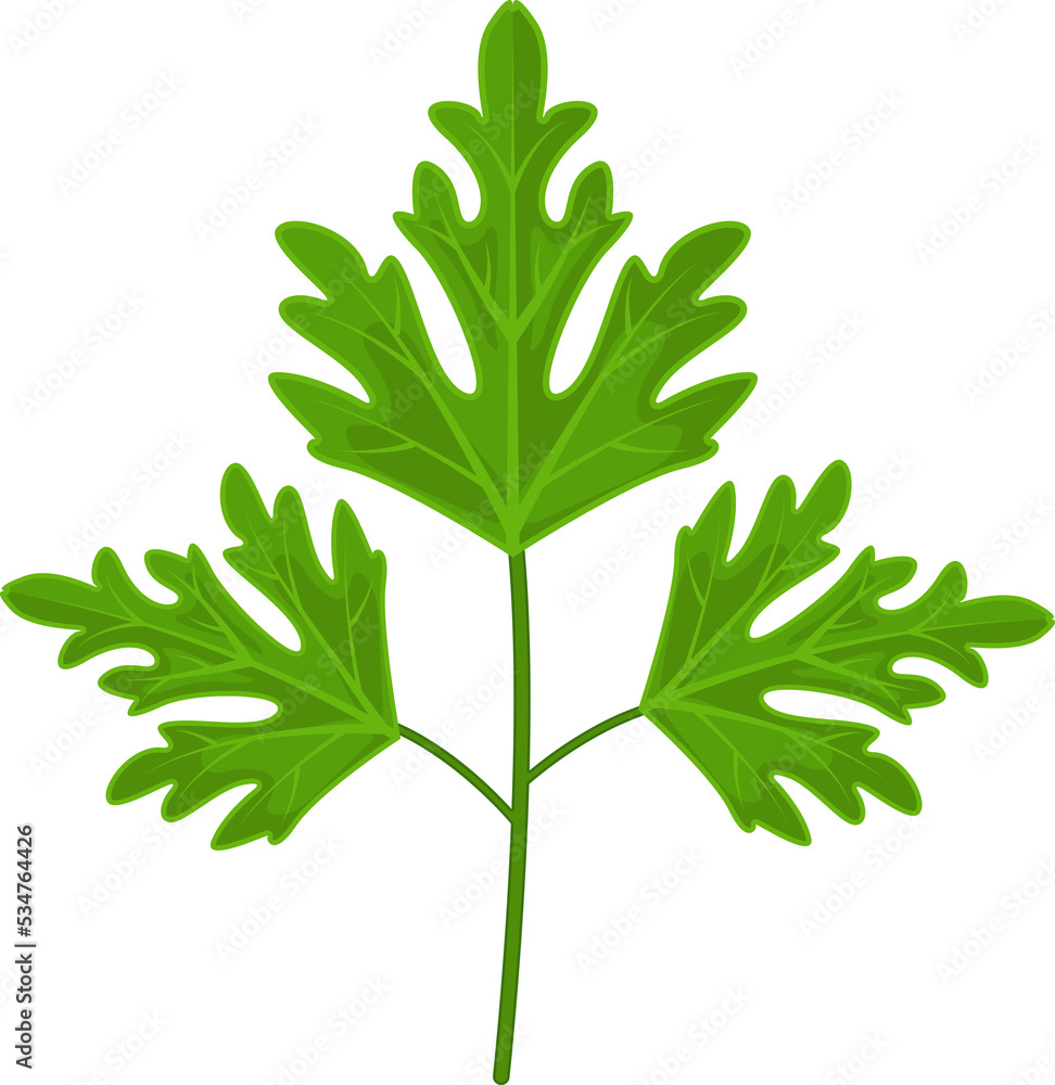 parsley parsley
