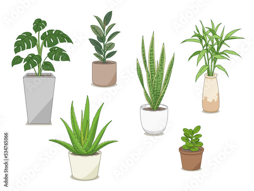 Set of ornamental plants illustration. © Lek_Suwarin