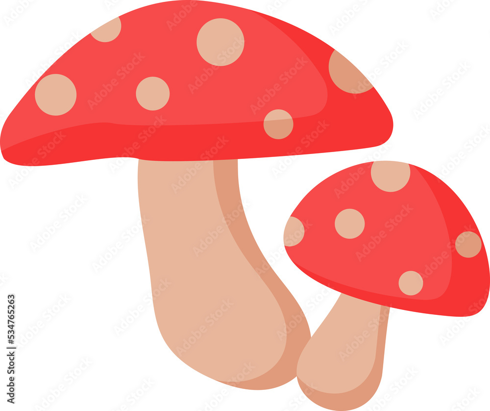 food mushroom