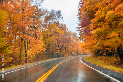 Road across the forest in foliage season on a rainy day
