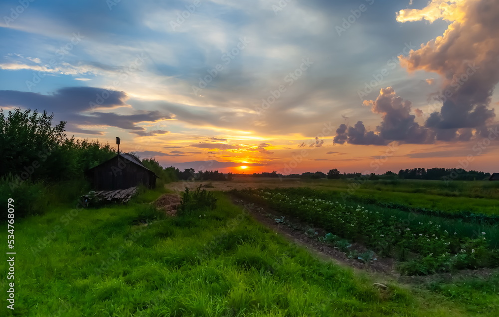 Obraz premium Landscape with sunset in the village in summer