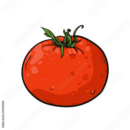 Pomidor -ilustracja wektorowa