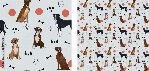 Seamless dog pattern, cute. Square format texture, t-shirt, poster, packaging, textile, socks, textile, fabric, decoration, wrapping paper. Trendy hand-drawn boxer dogs. Gift box pattern.