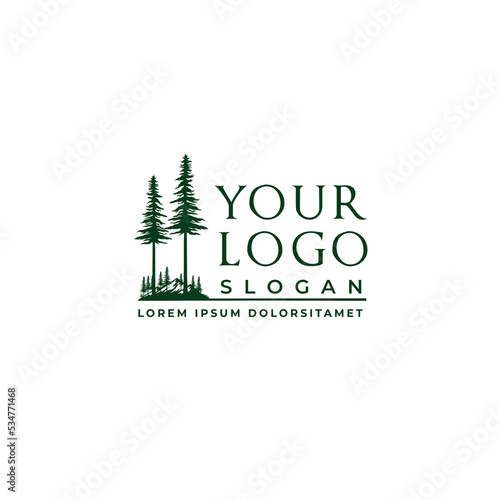 Valley logo concept. Mountain valley logo template