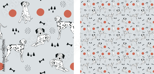Seamless dog pattern, cute. Square format texture, t-shirt, poster, packaging, textile, socks, textile, fabric, decoration, wrapping paper. Trendy hand-drawn Dalmatian dogs. Gift box pattern.