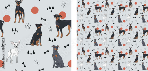 Seamless dog pattern, cute. Square format texture, t-shirt, poster, packaging, textile, socks, textile, fabric, decoration, wrapping paper. Trendy hand-drawn Pinscher dogs. Gift box pattern.