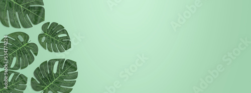 Flat lay top view leaf monstera with emoty space on green background for add text or graphic advertise