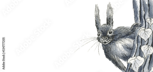 Canvas Print Squirrel scurry ink hand drawing