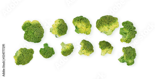 Piece of broccoli isolated on white background. Top view