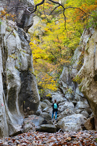 Woman tourist going hiking in deciduous forest between rocks and stones. Colorful autumn nature hiker girl walking in national park in Paklenica National Park Croatia. Cold weather outerwear gear.
