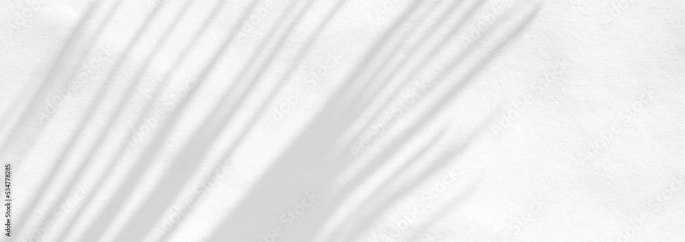 Fototapeta premium Leaves natural shadow overlay on white texture background, for overlay on product presentation, backdrop and mockup, banner style