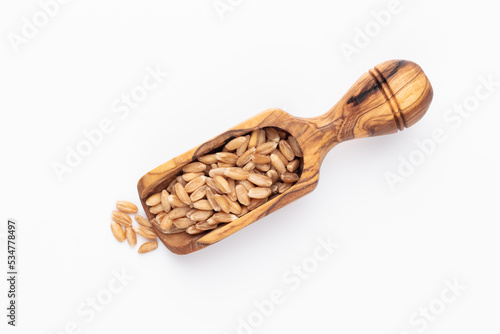Scoop with wheat grains and spikelets on white background.