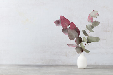 Green eucalyptus leaves in vase. Front view. Place for text, copy space, mockup.