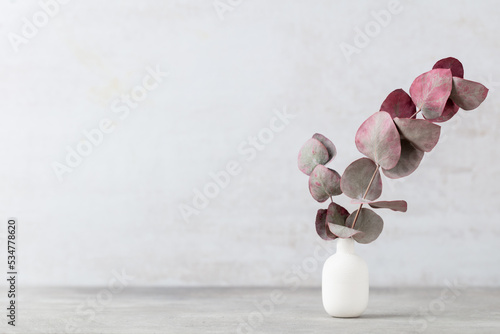 Green eucalyptus leaves in vase. Front view. Place for text  copy space  mockup.