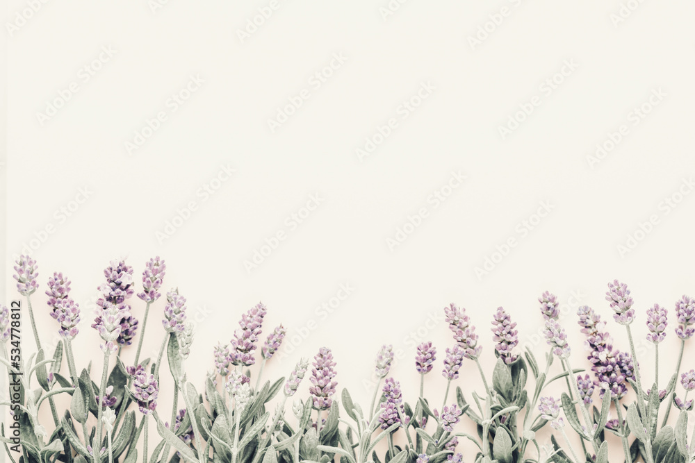 Naklejka premium Flowers composition, frame made of lavender flowers on pastel background.