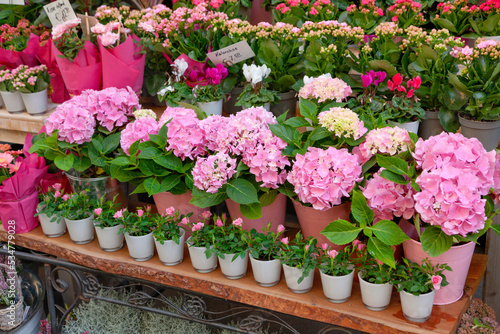 Fototapeta Street flower shop