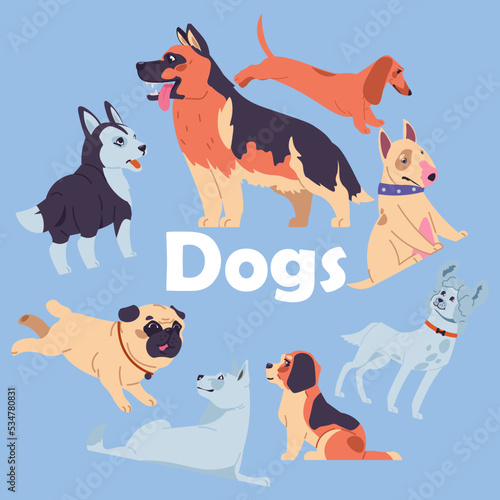 Dog owners. Canine purebred breeds. Domestic animals. Dachshund or beagle cute puppies. Sitting bull terrier. Playful poodle or pug. Standing husky. Pets group. Vector illustration card