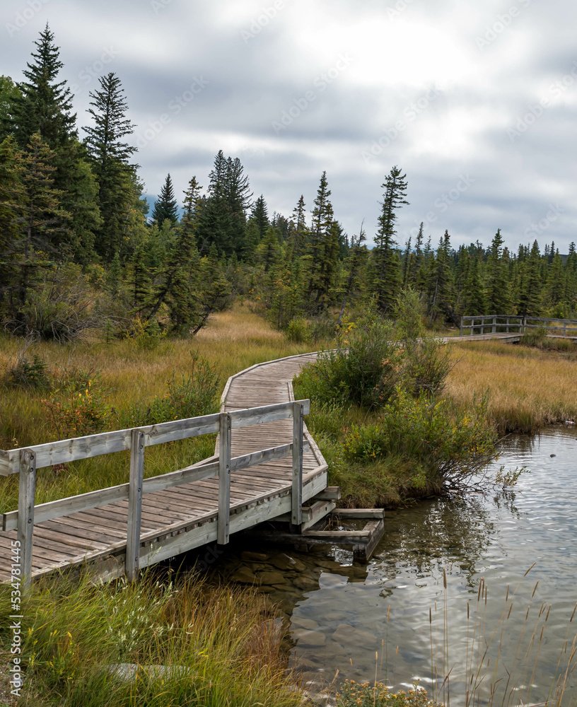 A wooden walkway on the Policeman Creek Trail in Canmore, Alberta, Canada on a late summer day