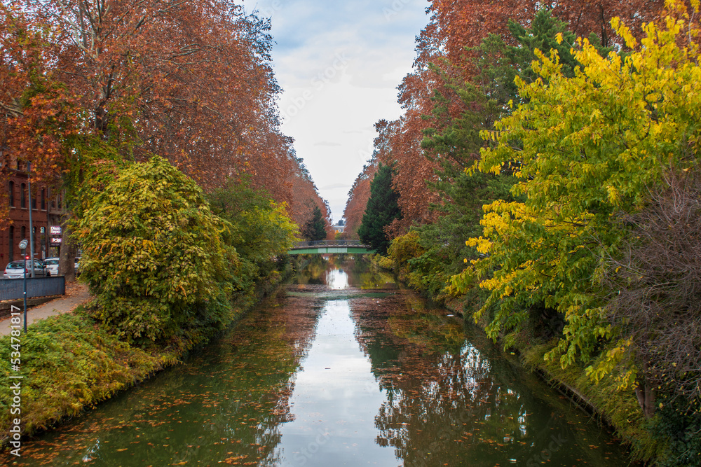 Autumn colors in Toulouse, France. Known as La Ville Rose