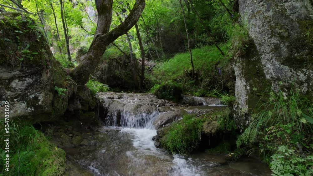 Aerial view of a mountain stream with waterfalls and a picturesque environment of plants and rocks around it covered with moss Aerial view of a mountain stream with waterfalls and a picturesque environment of plants and rocks around it covered with moss