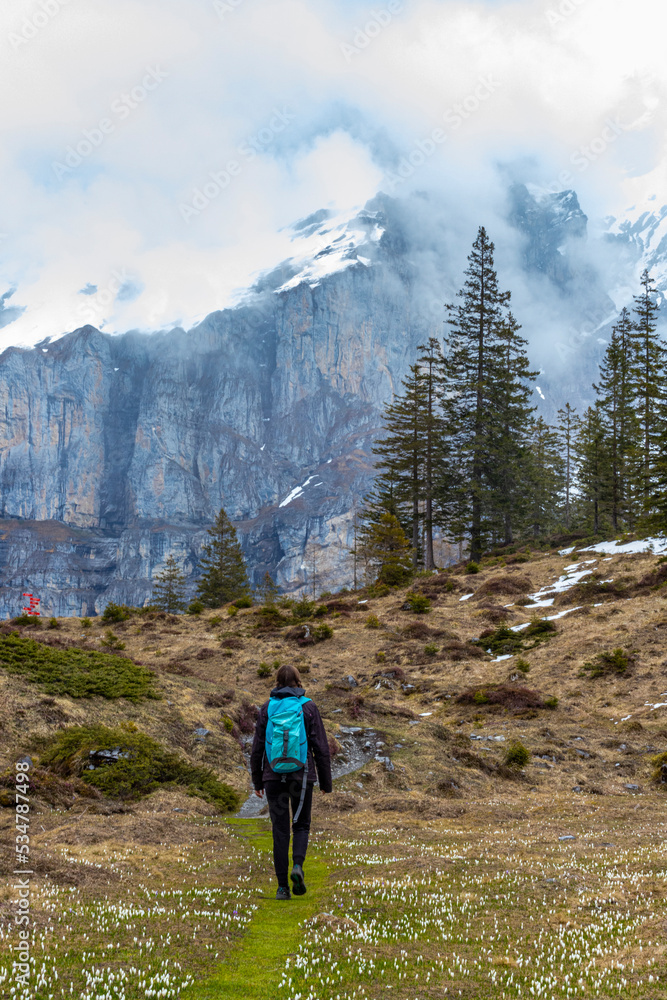 A girl with a backpack walks through a green field with huge clouded mountain peaks in the background; Swiss Alps, hiking to Lake Oeschinen 