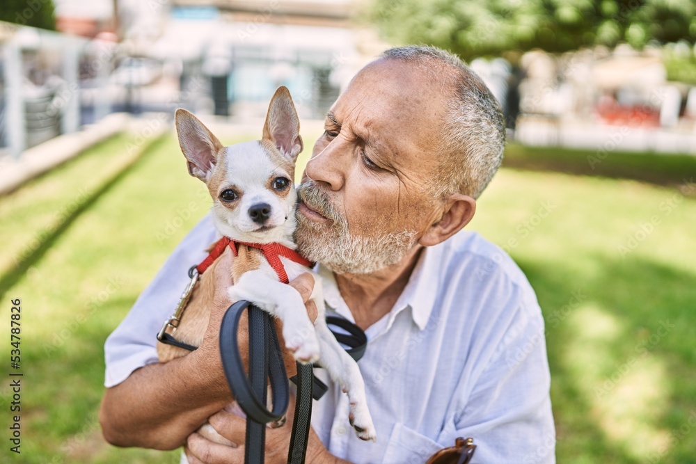 Senior man smiling confident hugging chihuahua at park Senior man smiling confident hugging chihuahua at park