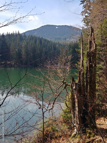 Lake Synevyr in spring. Transcarpathia