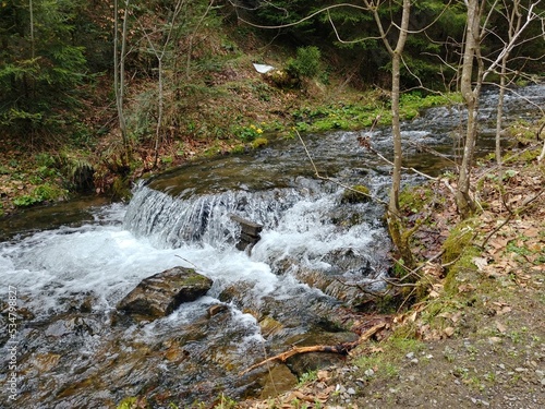 river in the forest in the mountains
