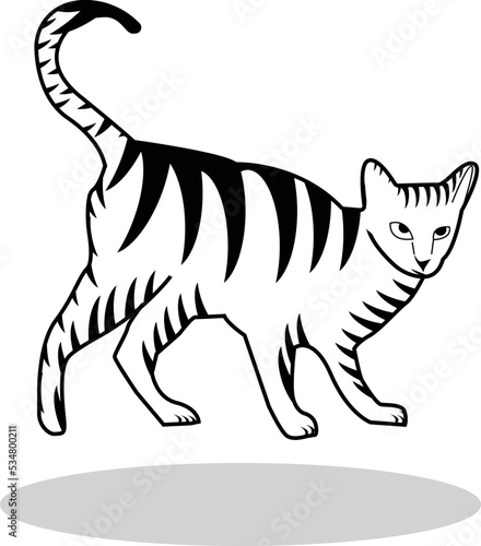 illustration of cat