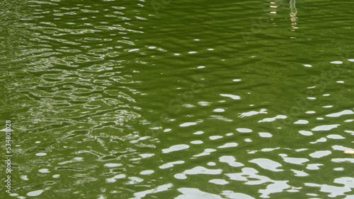 A Muddy Green Lake