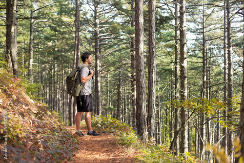 A male tourist alone with a hiking backpack enjoys the beauty of nature and fresh air in a coniferous forest on a warm autumn day. Healthy lifestyle concept.