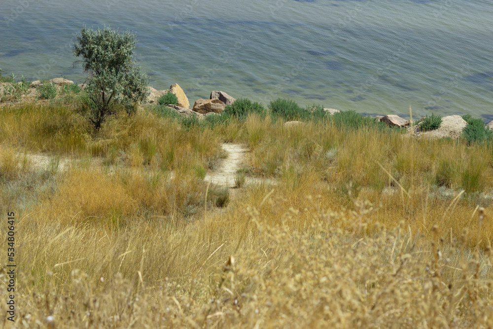 Fototapeta premium A path leading to the sea. Rocky coast of the Sea of Azov.