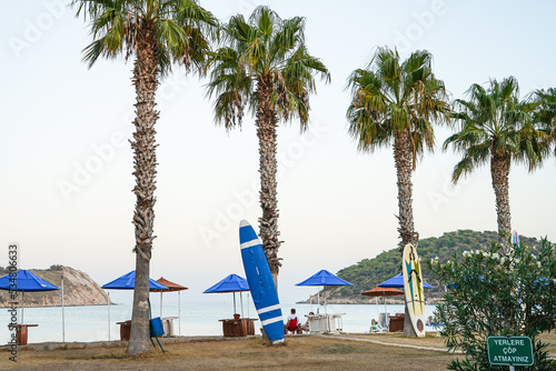 tisan island surfboard palm trees sunbed and umbrella on beach, silifke mersin turkey photo