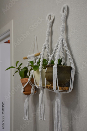 flowers on the wall in macrame hangers