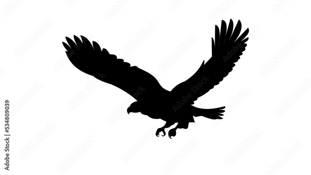 eagle silhouette eagle silhouette