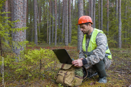 Forest engineer works in the forest on a computer.