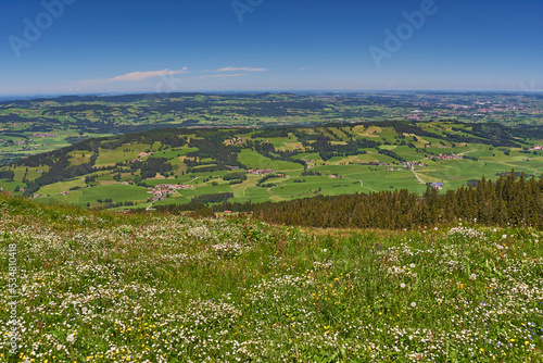 Landscape with flowering meadow and blue sky