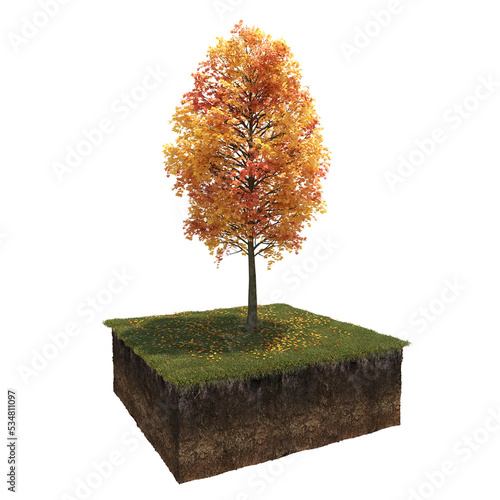 Autumn tree and soil cut under it. isolate on a transparent background, 3D illustration, cg render