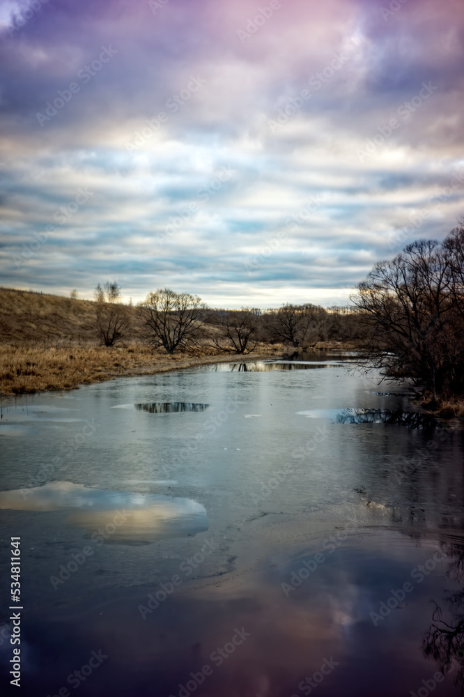 Obraz premium the bank of a small river in spring