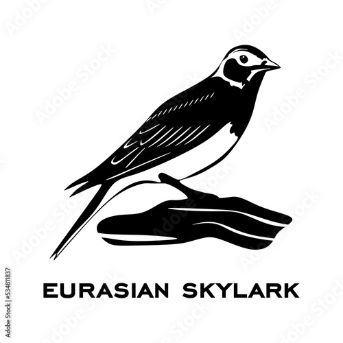 Eurasian skylark logo isolated on white background. Bird sign. Eurasian skylark silhouette. Minimalist bird icons vector illustration photo
