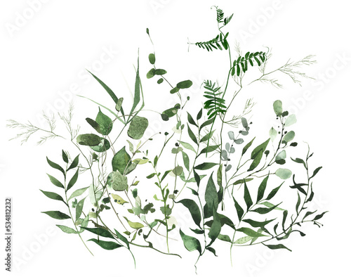 Watercolor painted greenery arrangement on white background. Green wild meadow plants, branches, leaves and twigs.