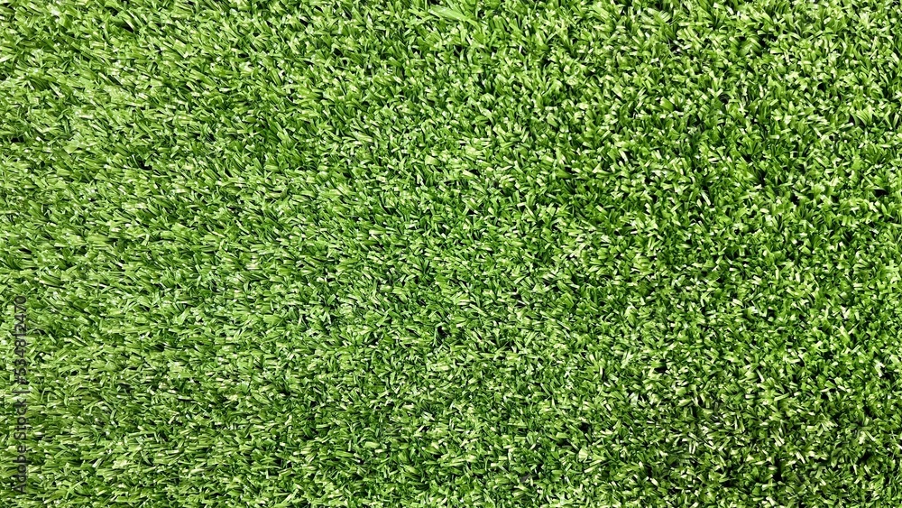 Grass texture. grass texture. Background. Greenwallpaper. Natural