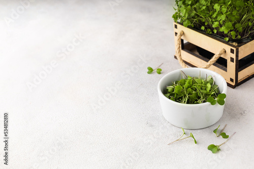 Microgreens in a wooden box and a white bowl on a light gray background