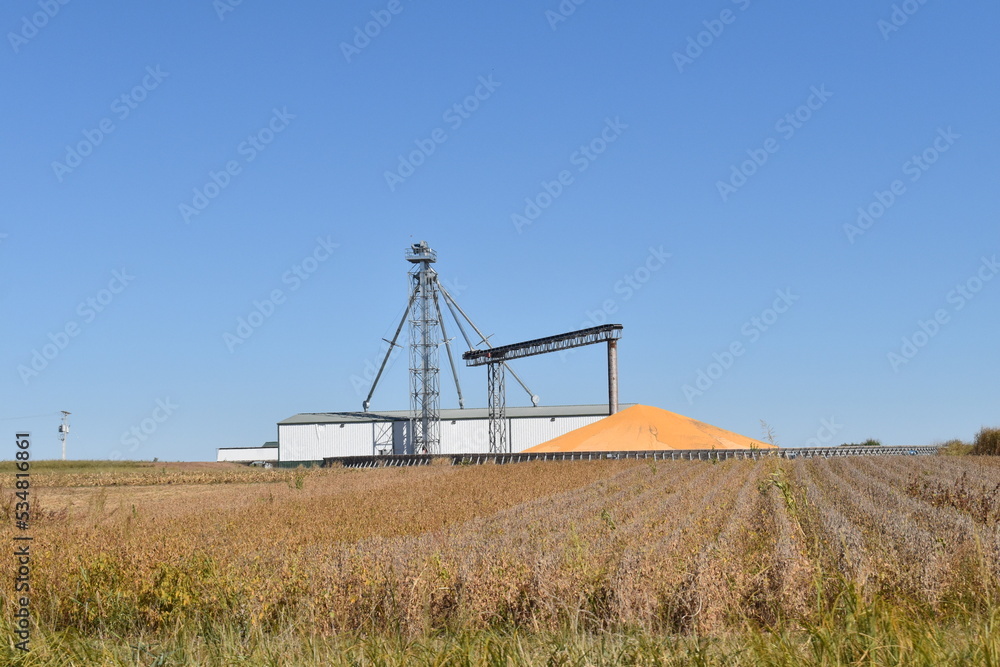 Grain Elevator in a Soybean Field