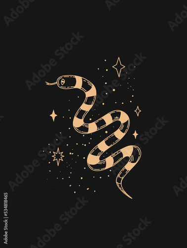 Magic snake. Logo in modern style. snake logo in the starry sky. Vector linear icon. Boho design templates. Design elements for decoration in modern style. magical drawings. linear drawing.