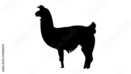 lama silhouette