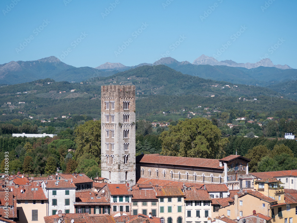 panorama della città di Lucca visto dalla Torre di Guinigi, sulla quale si trova un meraviglioso giardino pensile.