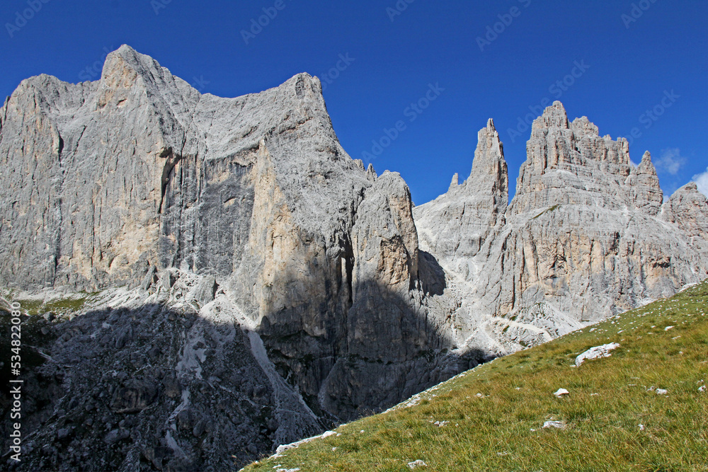 Cima Catinaccio e le Torri del Vajolet (Dolomiti di Fassa)